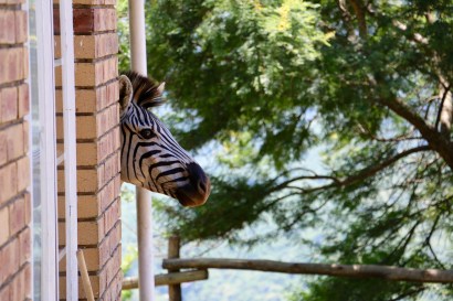 Photo : BWP Pieterse